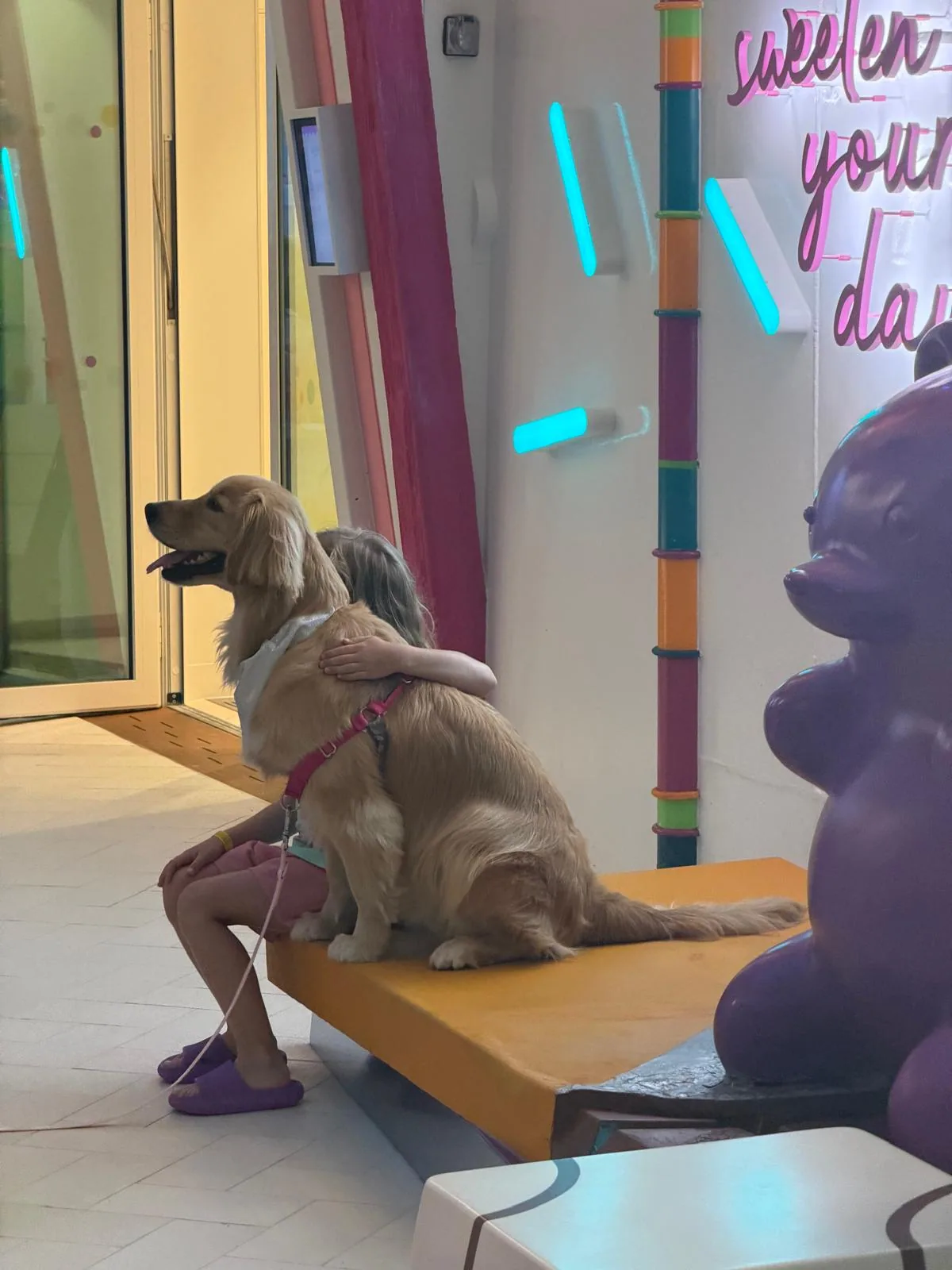 A decorative dog sculpture on board
